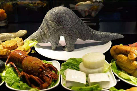 失眠治療去什么科好一點(diǎn)