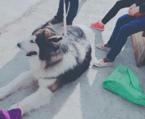 徐紅云董氏奇穴治療失眠