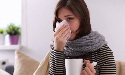 羅馬洋甘菊治療失眠